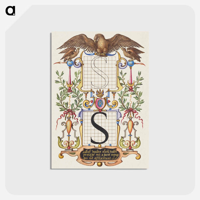 アートポストカード-Guide for Constructing the Letter S
 - 書道のお手本 Postcard.