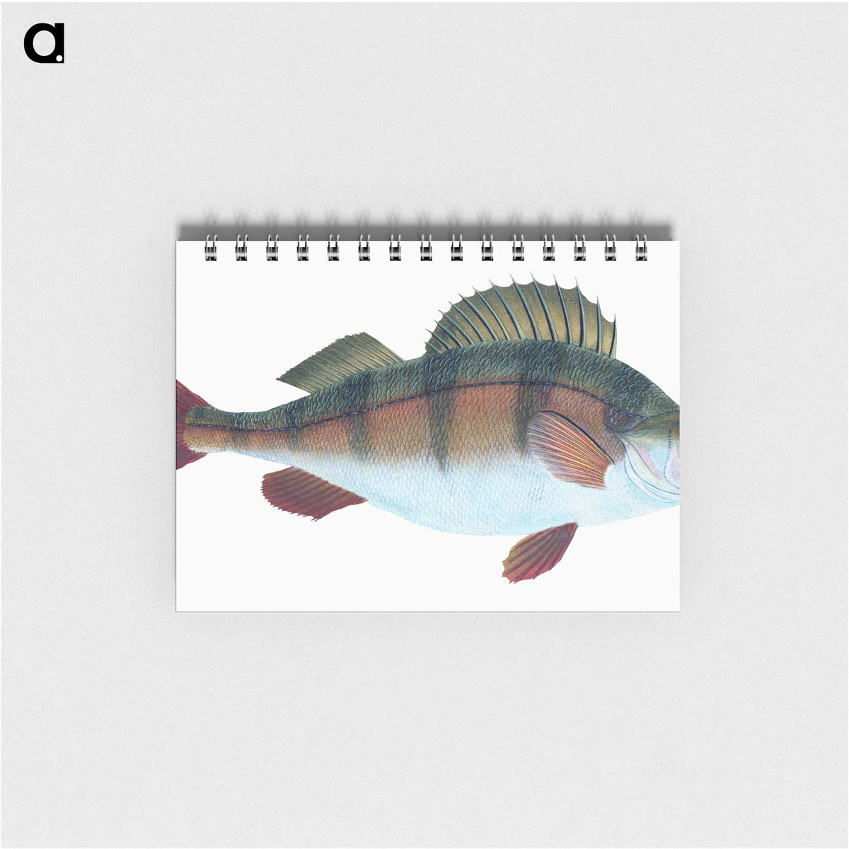 1-16_The-Natural-History-of-British-Fishes_memo