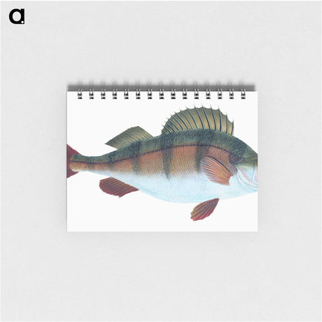 1-16_The-Natural-History-of-British-Fishes_memo