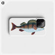 1-16_The-Natural-History-of-British-Fishes_phone