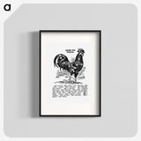 1-16_The-Open-Door-to-Independence_blk
