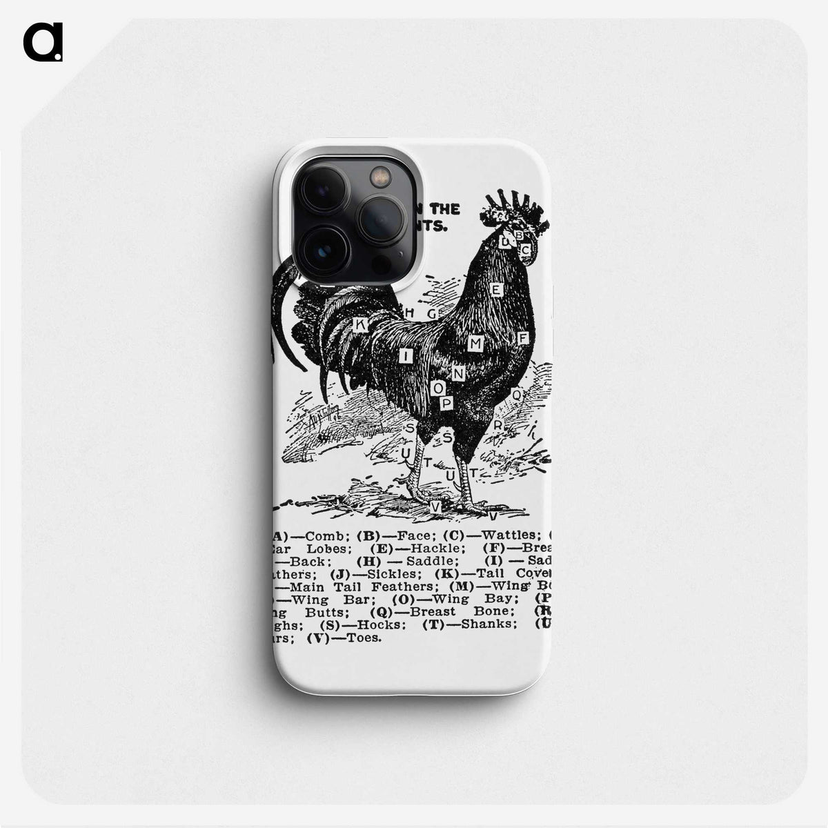 1-16_The-Open-Door-to-Independence_phone