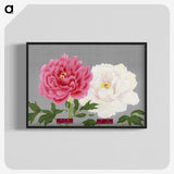 1-16_The-Picture-Book-of-Peonies_blk-crop