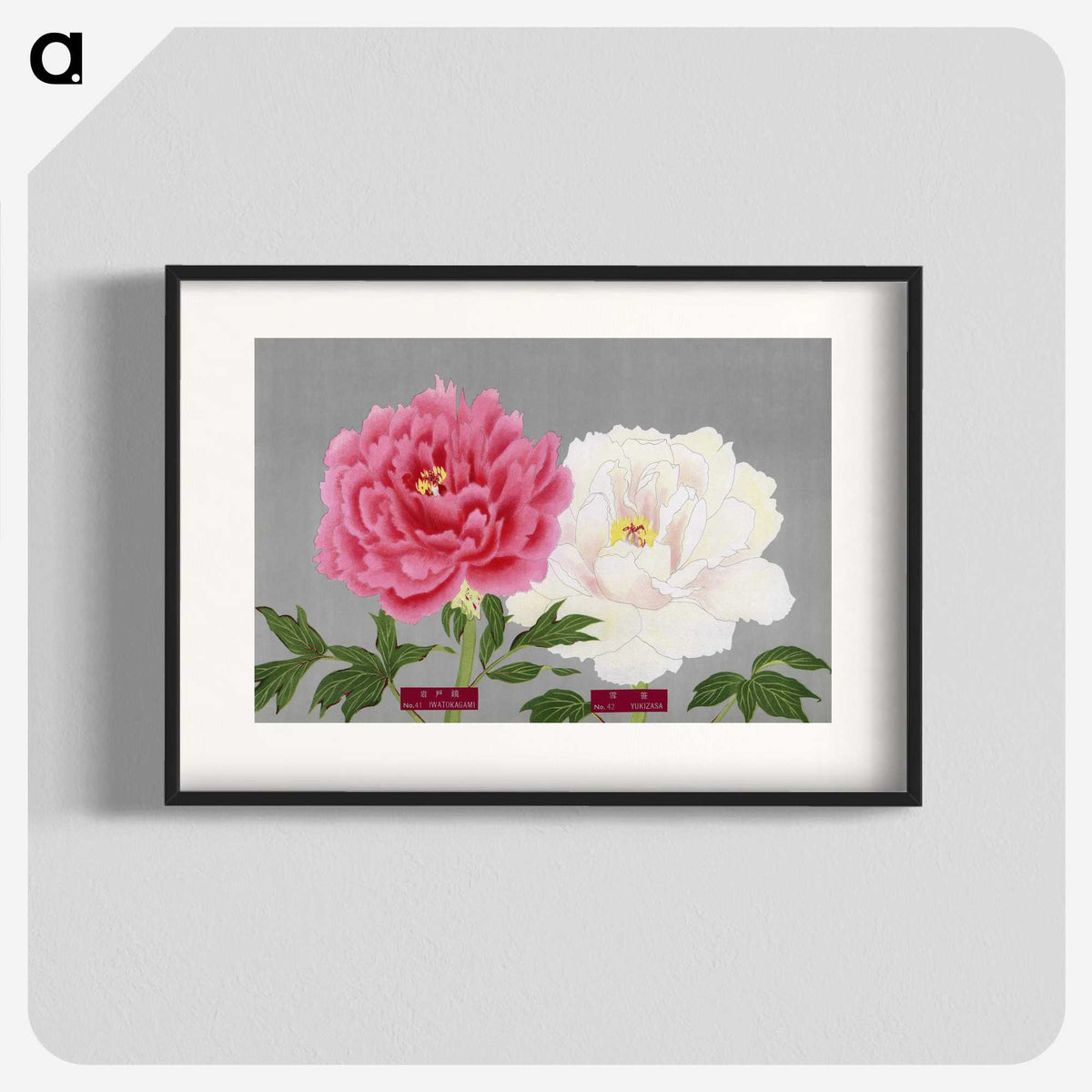 1-16_The-Picture-Book-of-Peonies_blk