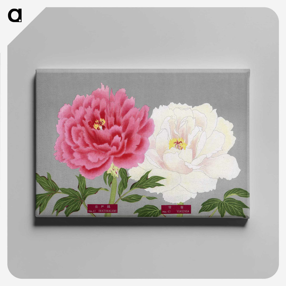 1-16_The-Picture-Book-of-Peonies_canvas