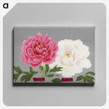 1-16_The-Picture-Book-of-Peonies_canvas
