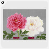 1-16_The-Picture-Book-of-Peonies_picture-crop
