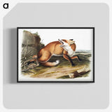 1-16_The-Viviparous-Quadrupeds_blk-crop