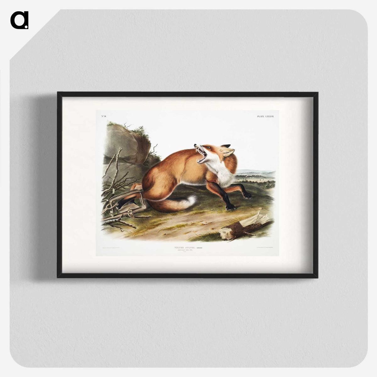 1-16_The-Viviparous-Quadrupeds_blk