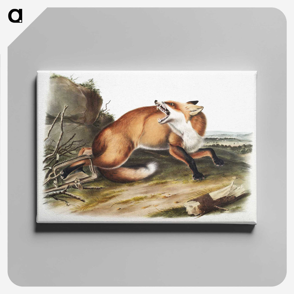 1-16_The-Viviparous-Quadrupeds_canvas