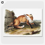 1-16_The-Viviparous-Quadrupeds_picture-crop
