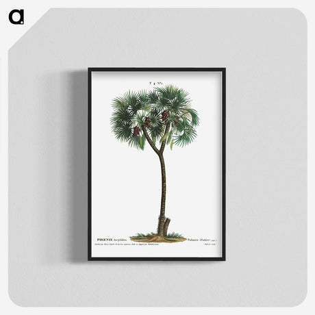 1-16_Treatise-on-Trees-and-Shrubs_blk-crop