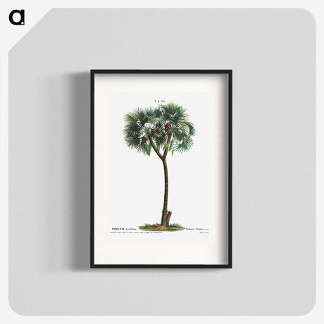 1-16_Treatise-on-Trees-and-Shrubs_blk