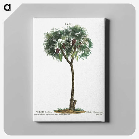 1-16_Treatise-on-Trees-and-Shrubs_canvas