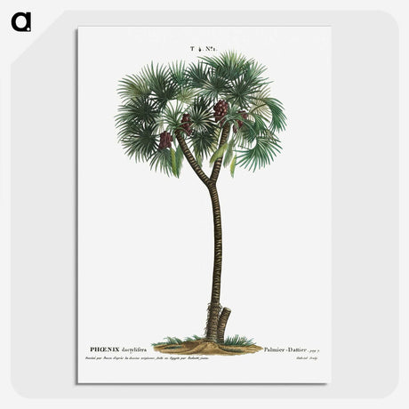 1-16_Treatise-on-Trees-and-Shrubs_picture-crop