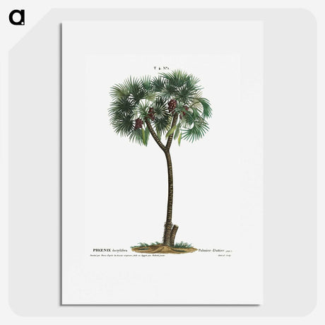 1-16_Treatise-on-Trees-and-Shrubs_picture