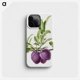 1-16_USDA-Watercolor-Fruit-Painting-Collection_phone