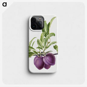 1-16_USDA-Watercolor-Fruit-Painting-Collection_phone