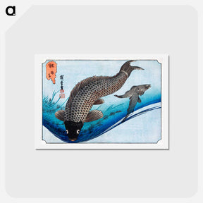 アートポストカード-Carp and Crucians
 - 歌川 広重 Postcard.