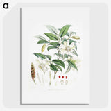 1-16_Walter-Hood-Fitch_picture