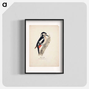 アートポスター-Great spotted woodpecker, female - ヴィルヘルム フォン ライト Poster.