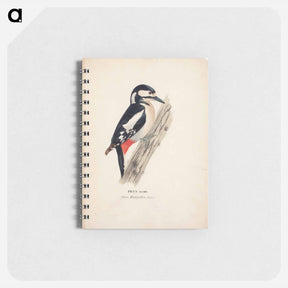 アートメモ帳-Great spotted woodpecker, female - ヴィルヘルム フォン ライト Memo.
