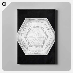 アートパネル-Wilson Bentley's Snowflake 10 - ウィルソン ベントレー Canvas.