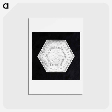 アートポストカード-Wilson Bentley's Snowflake 10 - ウィルソン ベントレー Postcard.