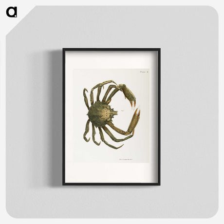 1-16_Zoology-of-New-York_blk