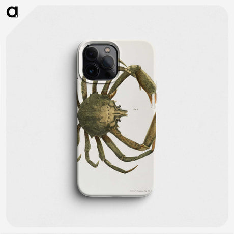 1-16_Zoology-of-New-York_phone