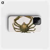 Spider crab illustration from Zoology of New York by James Ellsworth De Kay - ニューヨークの動物学 Phone Case.