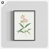 1-17_19th-Century-Japanese-Flowers_blk-crop