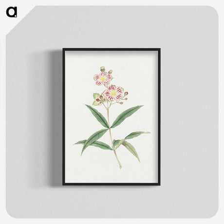 1-17_19th-Century-Japanese-Flowers_blk-crop