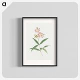 1-17_19th-Century-Japanese-Flowers_blk