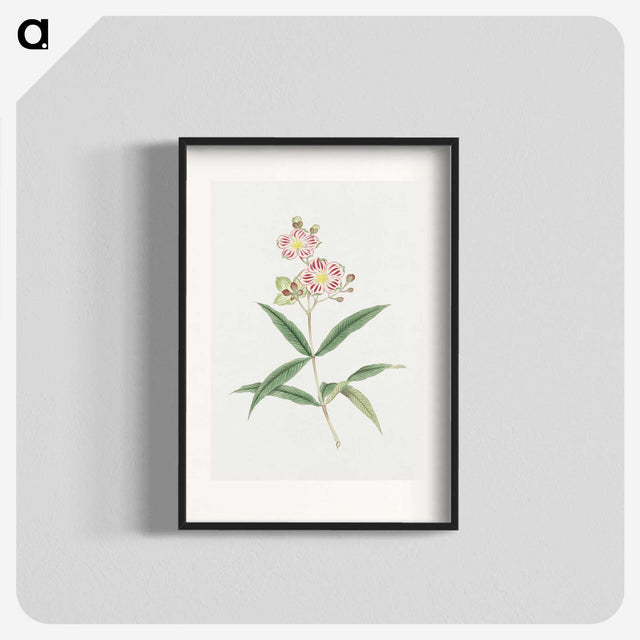 1-17_19th-Century-Japanese-Flowers_blk