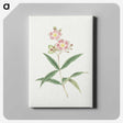 1-17_19th-Century-Japanese-Flowers_canvas