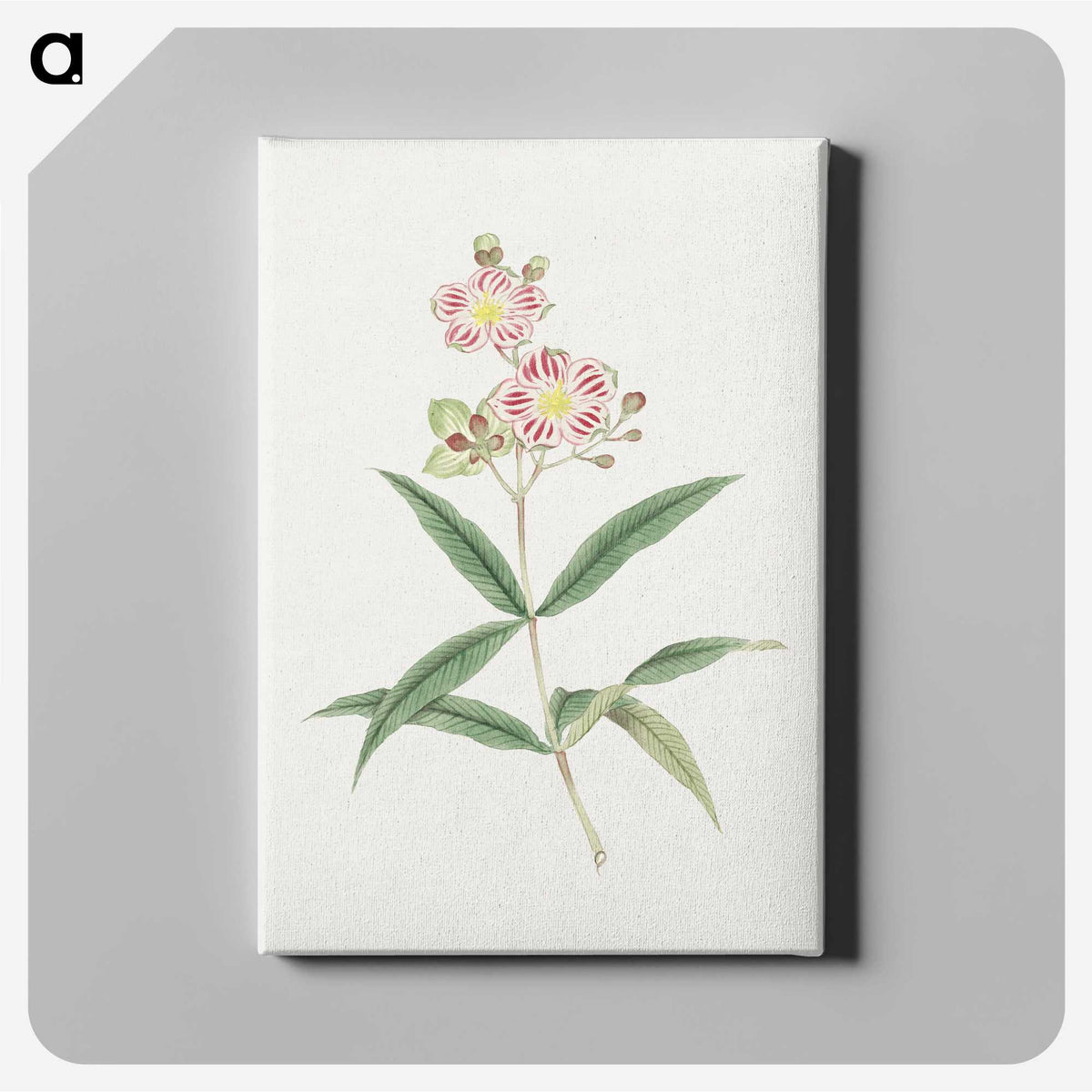 1-17_19th-Century-Japanese-Flowers_canvas