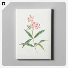 1-17_19th-Century-Japanese-Flowers_canvas