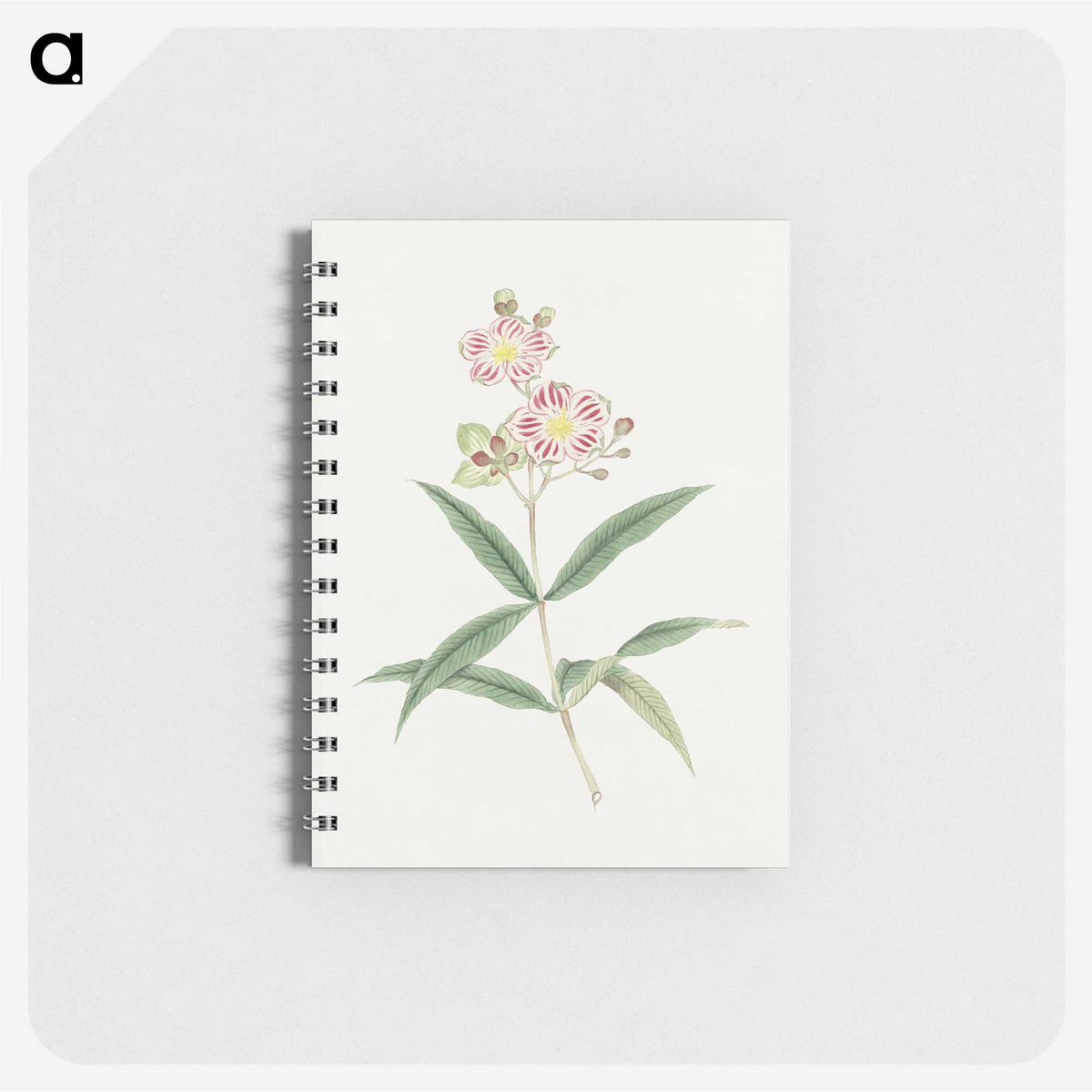 1-17_19th-Century-Japanese-Flowers_memo