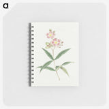 1-17_19th-Century-Japanese-Flowers_memo