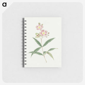 1-17_19th-Century-Japanese-Flowers_memo