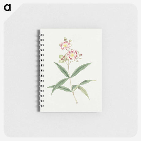 1-17_19th-Century-Japanese-Flowers_memo