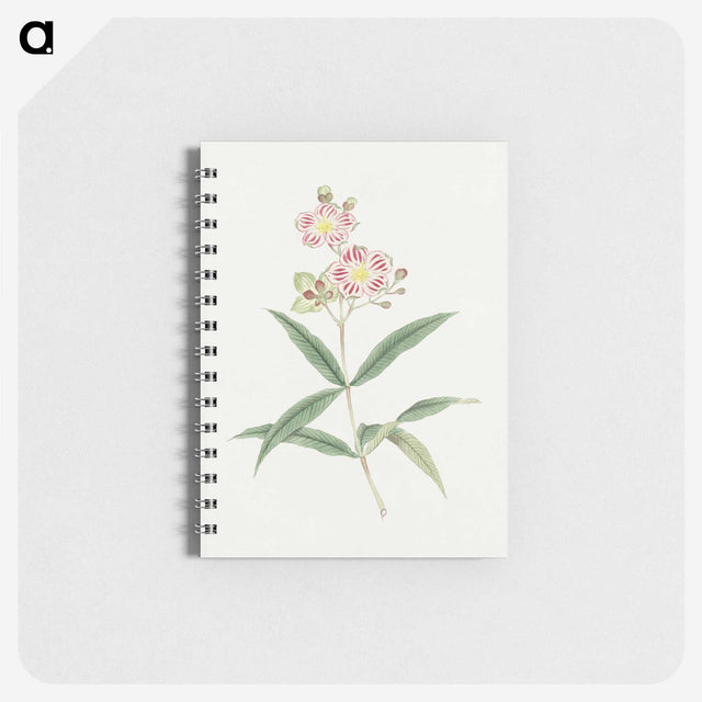 1-17_19th-Century-Japanese-Flowers_memo