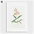 1-17_19th-Century-Japanese-Flowers_picture