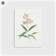 1-17_19th-Century-Japanese-Flowers_postcard