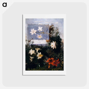 アートポストカード-Flower Studies - アボット ハンダーソン セイヤー Postcard.
