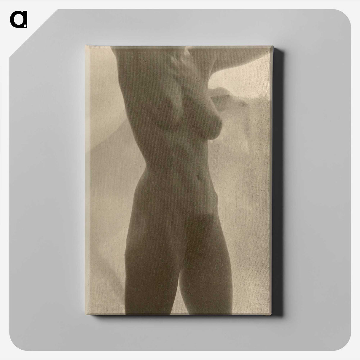1-17_Alfred-Stieglitz_canvas