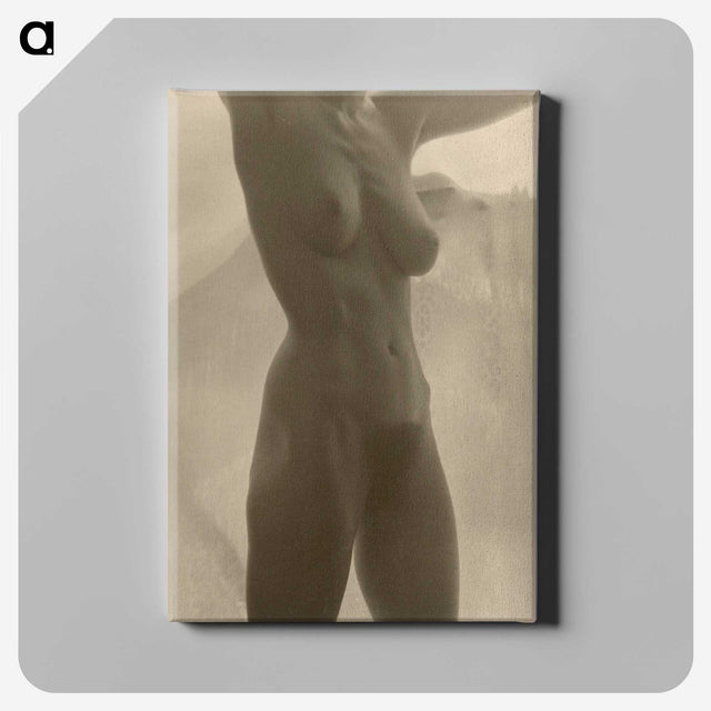1-17_Alfred-Stieglitz_canvas