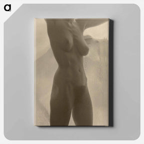 アートパネル-Georgia O'Keeffe—Torso - アルフレッド スティーグリッツ Canvas.