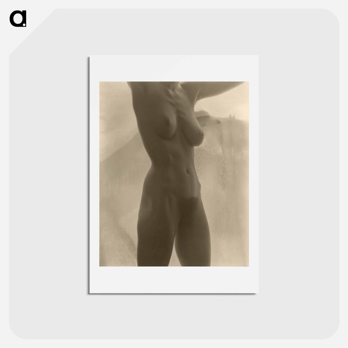アートポストカード-Georgia O'Keeffe—Torso - アルフレッド スティーグリッツ Postcard.